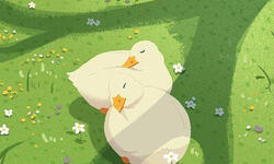 be kind :(